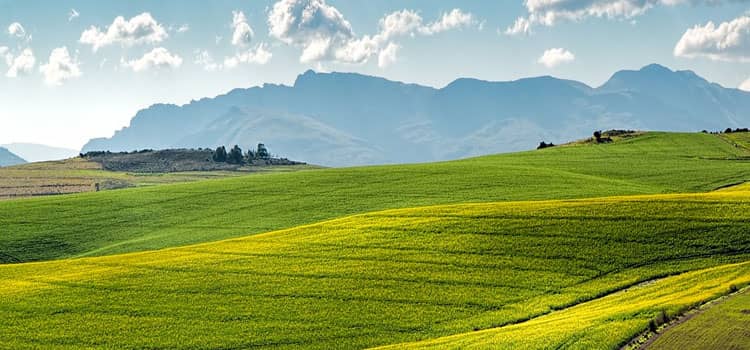 The History of the Agriculture Plane