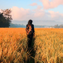 Farmers have long history with Election Day