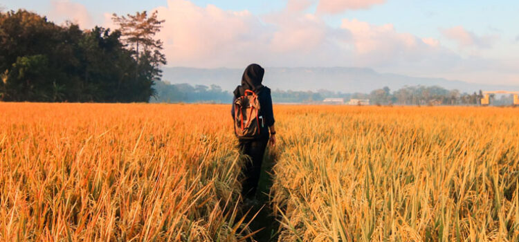 Farmers have long history with Election Day