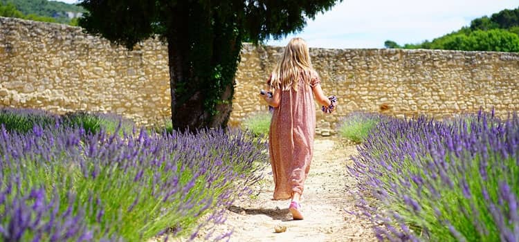 How to grow your own wellness garden